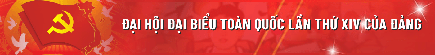 banner-vi
