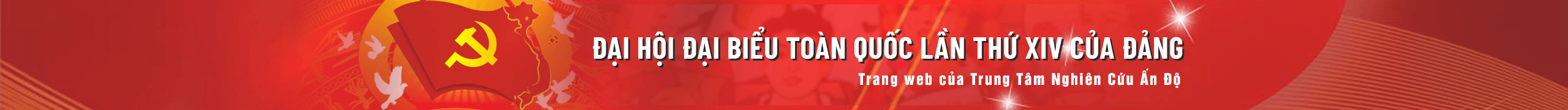 banner-vi