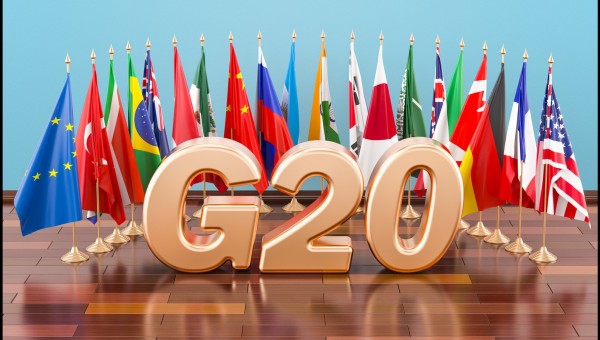 Với tư cách là nhà lãnh đạo G-20, Ấn Độ phải bảo vệ lợi ích của các quốc gia đang phát triển