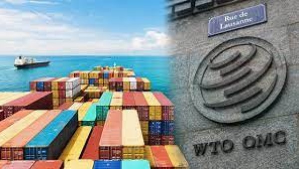 WTO yếu kém và trật tự thương mại toàn cầu bất định