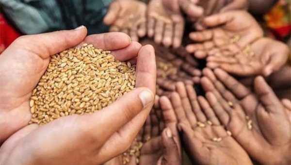 Ấn Độ thay đổi tư duy về an ninh lương thực