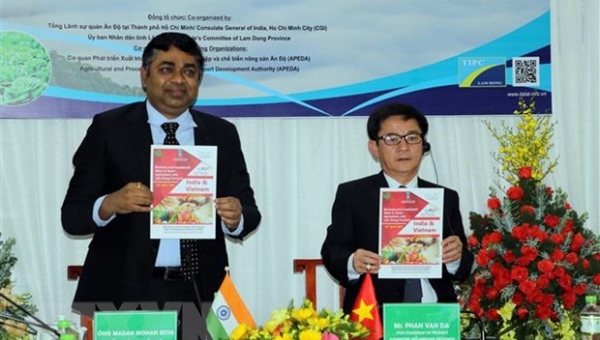 Thúc đẩy hợp tác nông nghiệp giữa Lâm Đồng với doanh nghiệp Ấn Độ