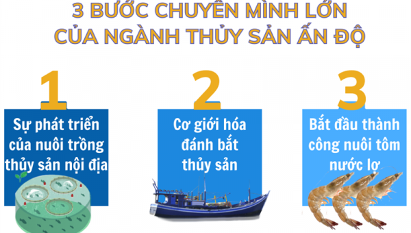 Kế hoạch phát triển ngành thủy sản của Ấn Độ