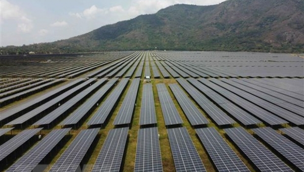 Ấn Độ khởi xướng điều tra chống bán phá giá pin năng lượng Mặt Trời