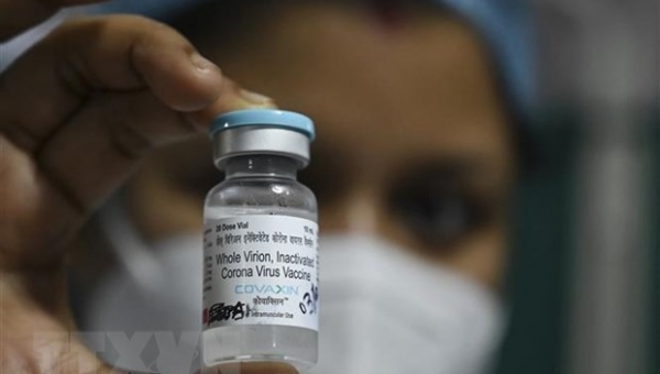 Ấn Độ và hành trình trở lại thị trường vaccine ngừa COVID-19