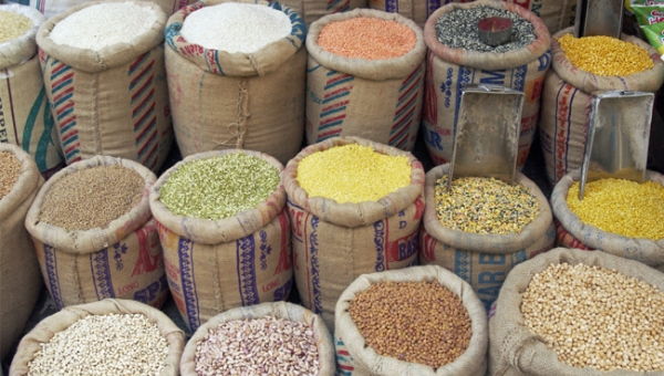 Ấn Độ kiên quyết bảo vệ an ninh lương thực