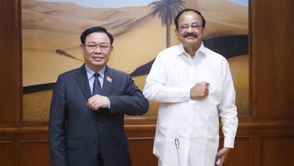 Phát triển mối quan hệ hợp tác Việt Nam - Ấn Độ trong bối cảnh khu vực Ấn Độ Dương - Thái Bình Dương