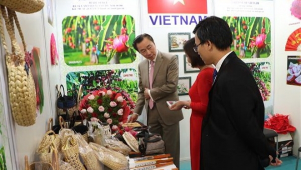 Phát triển thương mại bền vững giữa Việt Nam và Ấn Độ (Phần 1)