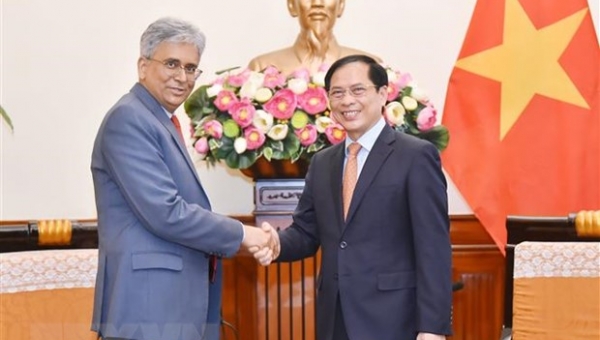 Ấn Độ cam kết phối hợp thúc đẩy hơn nữa quan hệ với Việt Nam