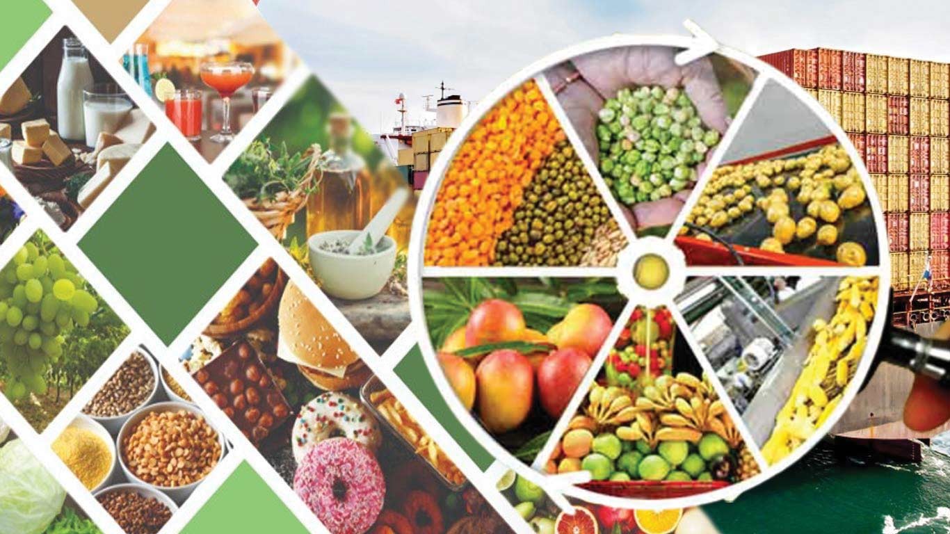 Nghịch lý thương mại nông sản Ấn-Mỹ: Tăng trưởng trong bối cảnh đàm phán đình trệ và động lực địa chính trị