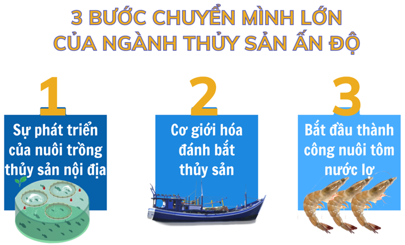 Kế hoạch phát triển ngành thủy sản của Ấn Độ