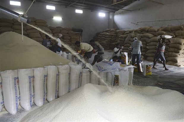FAO: Ấn Độ dự định xuất khẩu gạo kỷ lục để giúp giữ giá ổn định