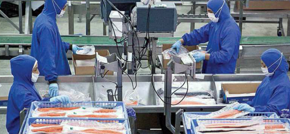 Ngành hải sản Ấn Độ (Phần 2)