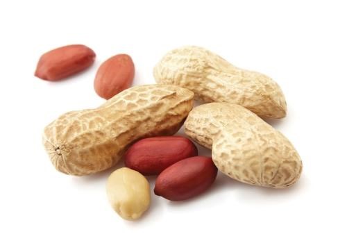 Bộ Nông nghiệp và Phát triển Nông thôn ban hành quyết định cho phép nhập khẩu trở lại lạc nhân từ Ấn Độ
