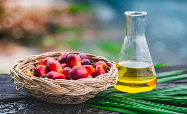 Ấn Độ giảm thuế nhập khẩu dầu cọ từ Malaysia