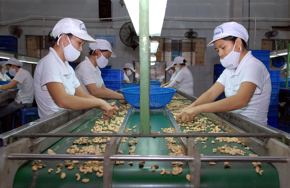 Việt-Ấn tìm cách gỡ vướng mắc gây cản trở cho trao đổi nông sản